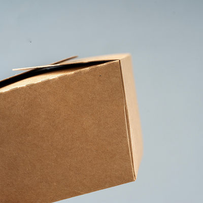 Lancheira feita sob encomenda do papel de embalagem do PE de Logo Printing 337g 18g para levar embora caixas para o alimento