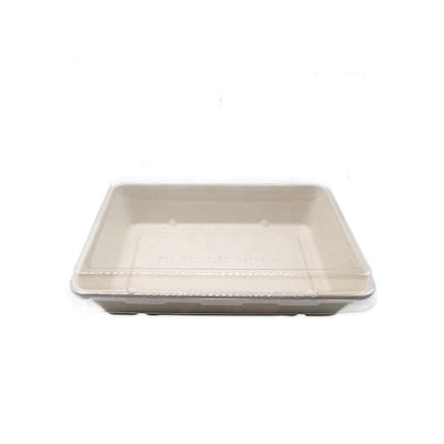 sushi biodegradável Tray With Pet Lid dos utensílios de mesa do bagaço do fast food da louça 11g