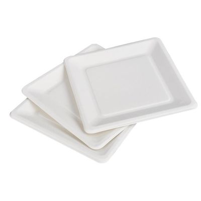 o papel Compostable amigável da cana-de-açúcar de 9in 10in Eco chapeia a placa quadrada do bolo da sobremesa