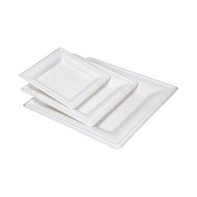 o papel Compostable amigável da cana-de-açúcar de 9in 10in Eco chapeia a placa quadrada do bolo da sobremesa