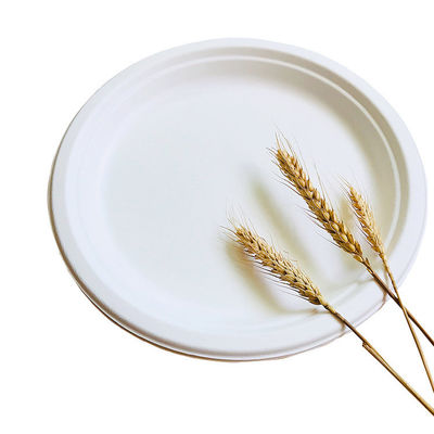 A placa 10in biodegradável renovável Pfas dos utensílios de mesa do bagaço de 8in livre remove recipientes