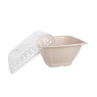 caixas biodegradáveis de 16 24 recipientes da salada de fruto da bacia do bagaço da cana-de-açúcar 32oz com tampa