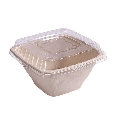 caixas biodegradáveis de 16 24 recipientes da salada de fruto da bacia do bagaço da cana-de-açúcar 32oz com tampa
