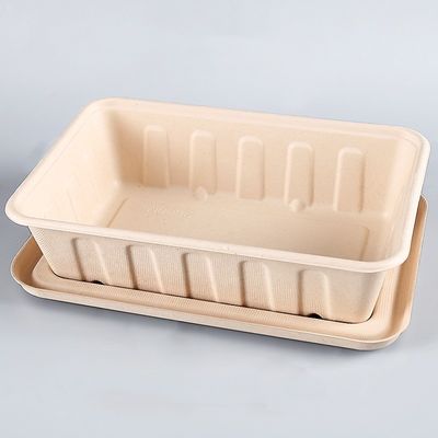 fast food biodegradável natural da salada dos utensílios de mesa do bagaço de 450ml 550ml Eco a ir recipientes