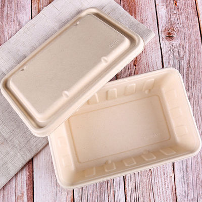 fast food biodegradável natural da salada dos utensílios de mesa do bagaço de 450ml 550ml Eco a ir recipientes