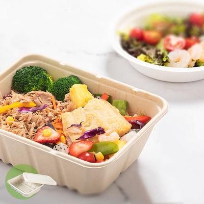 fast food biodegradável natural da salada dos utensílios de mesa do bagaço de 450ml 550ml Eco a ir recipientes