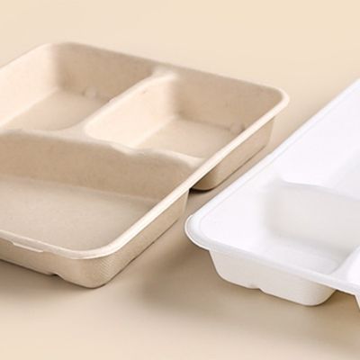 As bandejas biodegradáveis retangulares descartáveis do bagaço da cana-de-açúcar levam embora bandejas com tampas