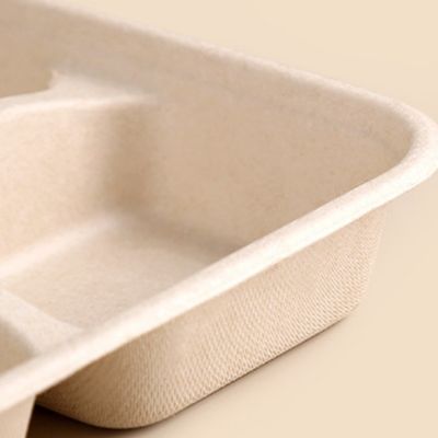 As bandejas biodegradáveis retangulares descartáveis do bagaço da cana-de-açúcar levam embora bandejas com tampas