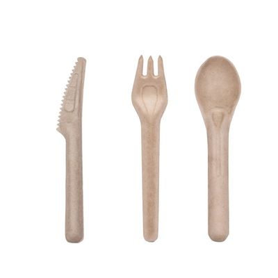 Forquilhas e colheres Compostable descartáveis amigáveis da cutelaria 141.7mm de Eco do bagaço biodegradável