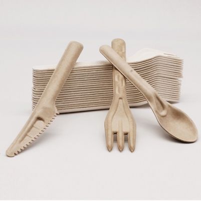Forquilhas e colheres Compostable descartáveis amigáveis da cutelaria 141.7mm de Eco do bagaço biodegradável