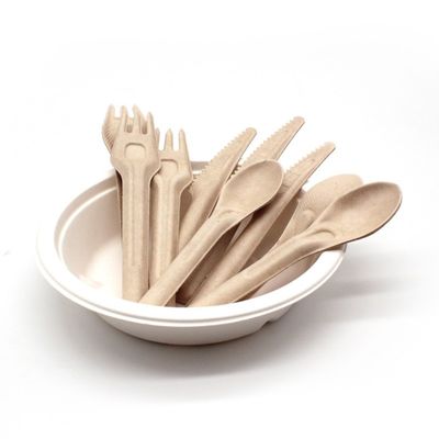 Forquilhas e colheres Compostable descartáveis amigáveis da cutelaria 141.7mm de Eco do bagaço biodegradável