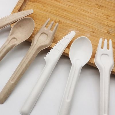 Forquilhas e colheres Compostable descartáveis amigáveis da cutelaria 141.7mm de Eco do bagaço biodegradável