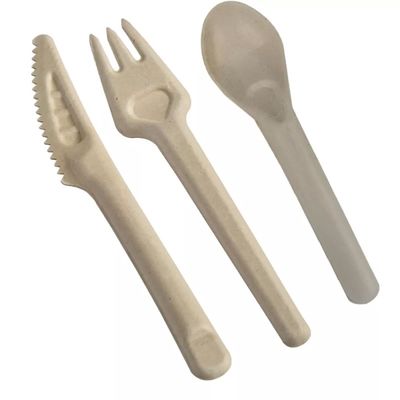 Forquilhas e colheres Compostable descartáveis amigáveis da cutelaria 141.7mm de Eco do bagaço biodegradável