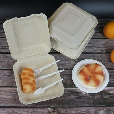 placas descartáveis da festa de anos segura afastada da parte superior do bagaço da micro-ondas dos recipientes 800ml