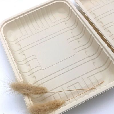 Alimento congelado Tray Container da fécula de milho da carne utensílios de mesa Sealable biodegradáveis 150mm