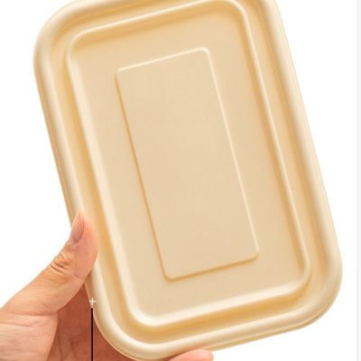 Caixa Compostable descartável do empacotamento de fast food da lancheira da refeição da fécula de milho 500 600ML