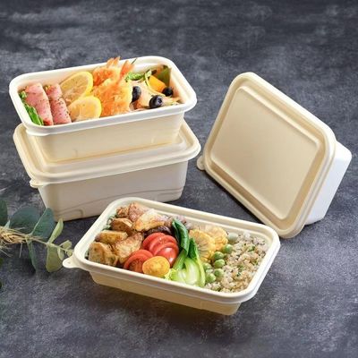 Caixa Compostable descartável do empacotamento de fast food da lancheira da refeição da fécula de milho 500 600ML